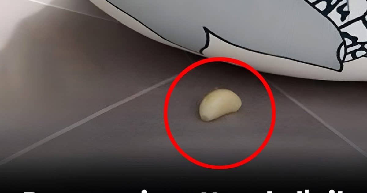 Pourquoi faut-il placer de l’ail sous l'oreiller pendant la nuit ?
