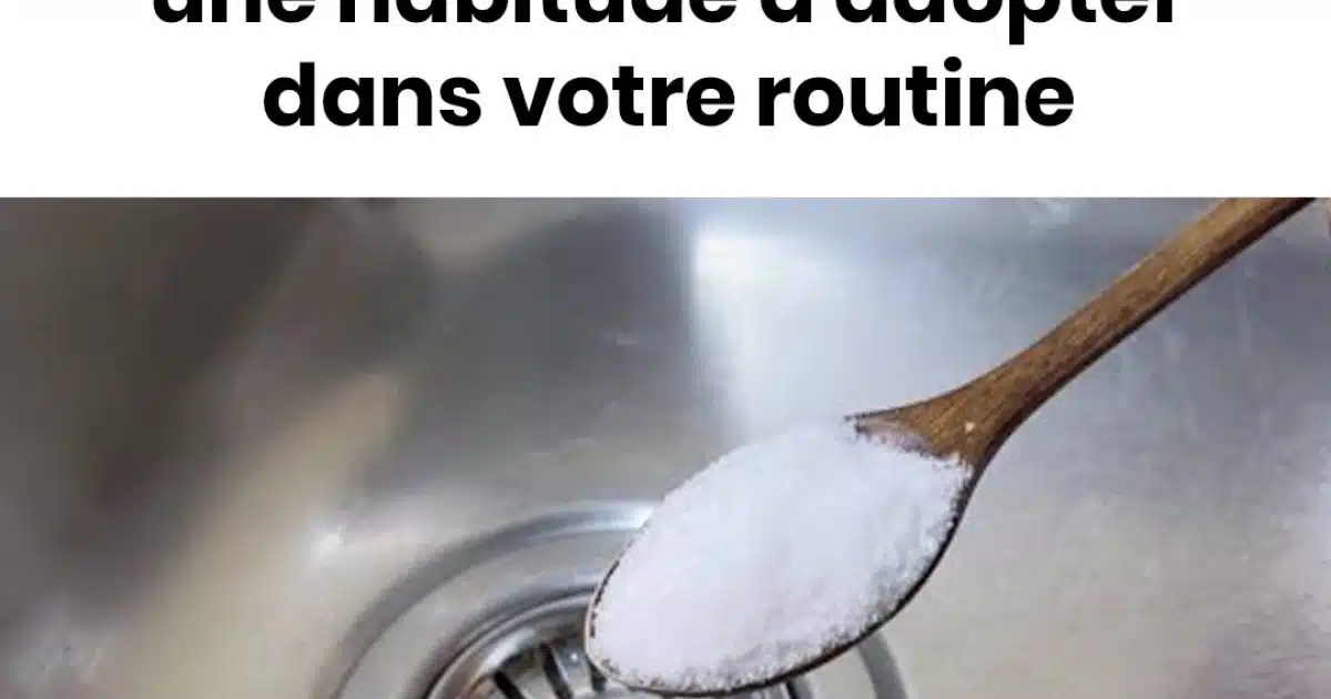 Pourquoi faut-il verser du sel dans l’évier ?