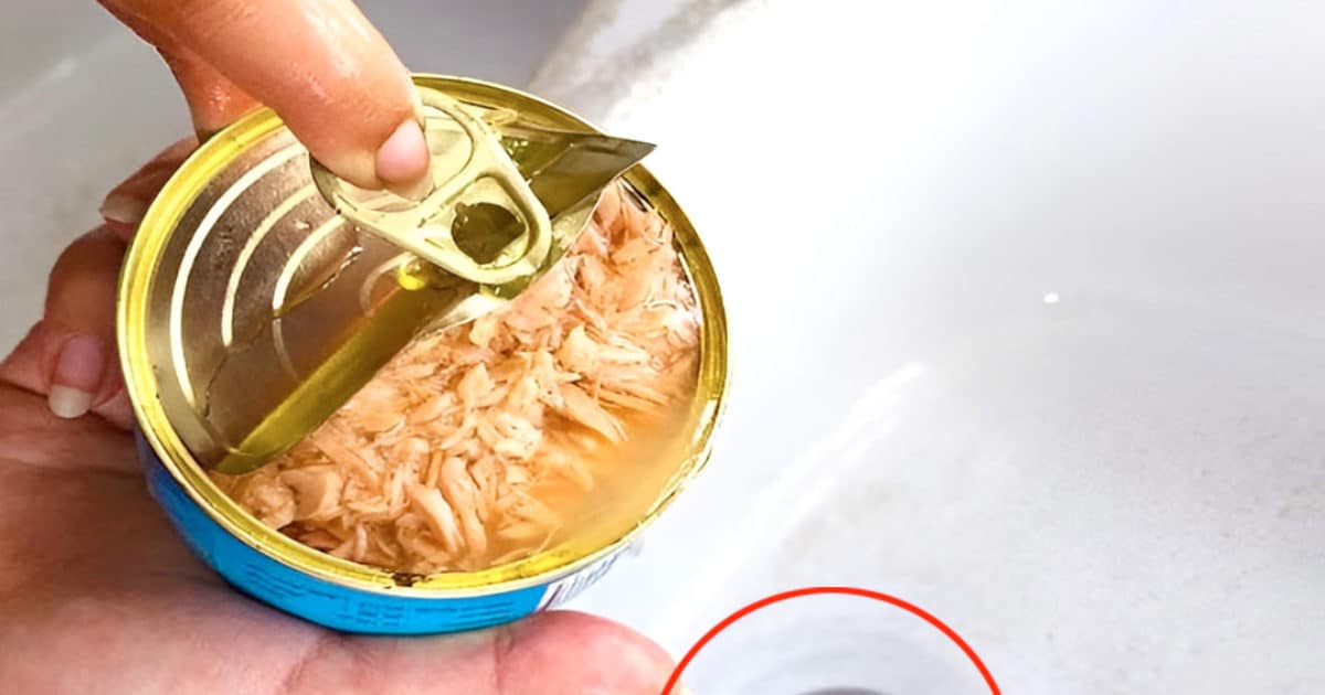 Pourquoi il ne faut plus jeter l’huile des boites de thon dans l’évier de la cuisine ?