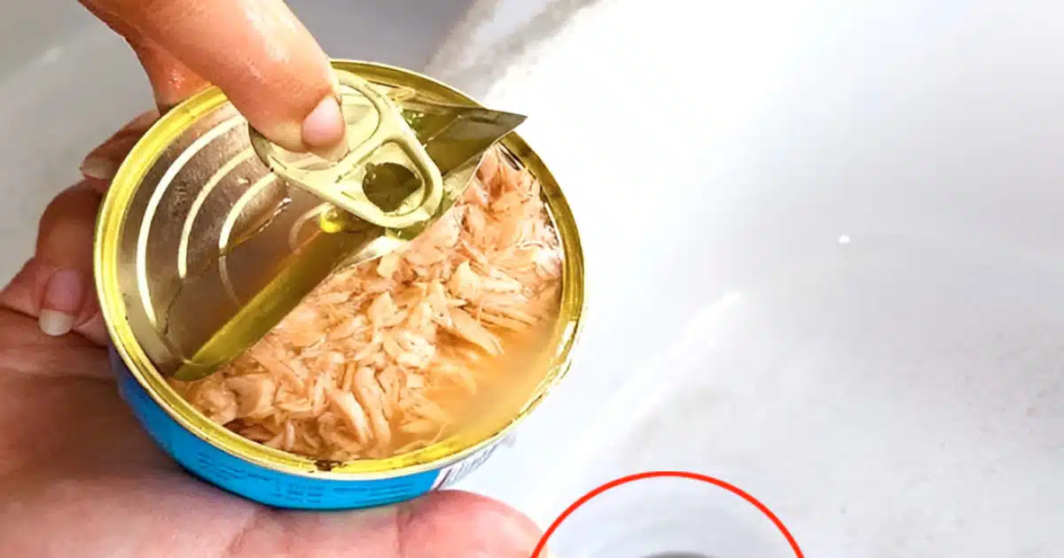 Pourquoi il ne faut plus jeter l’huile des boites de thon dans l’évier de la cuisine ?