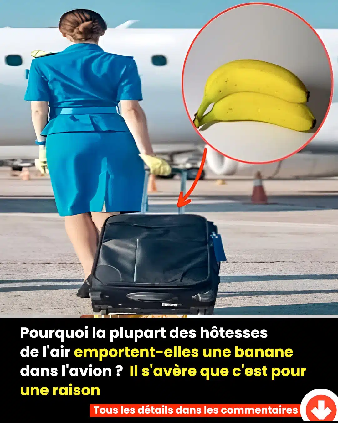 Pourquoi la plupart des hôtesses de l'air emportent-elles une banane dans l'avion ?