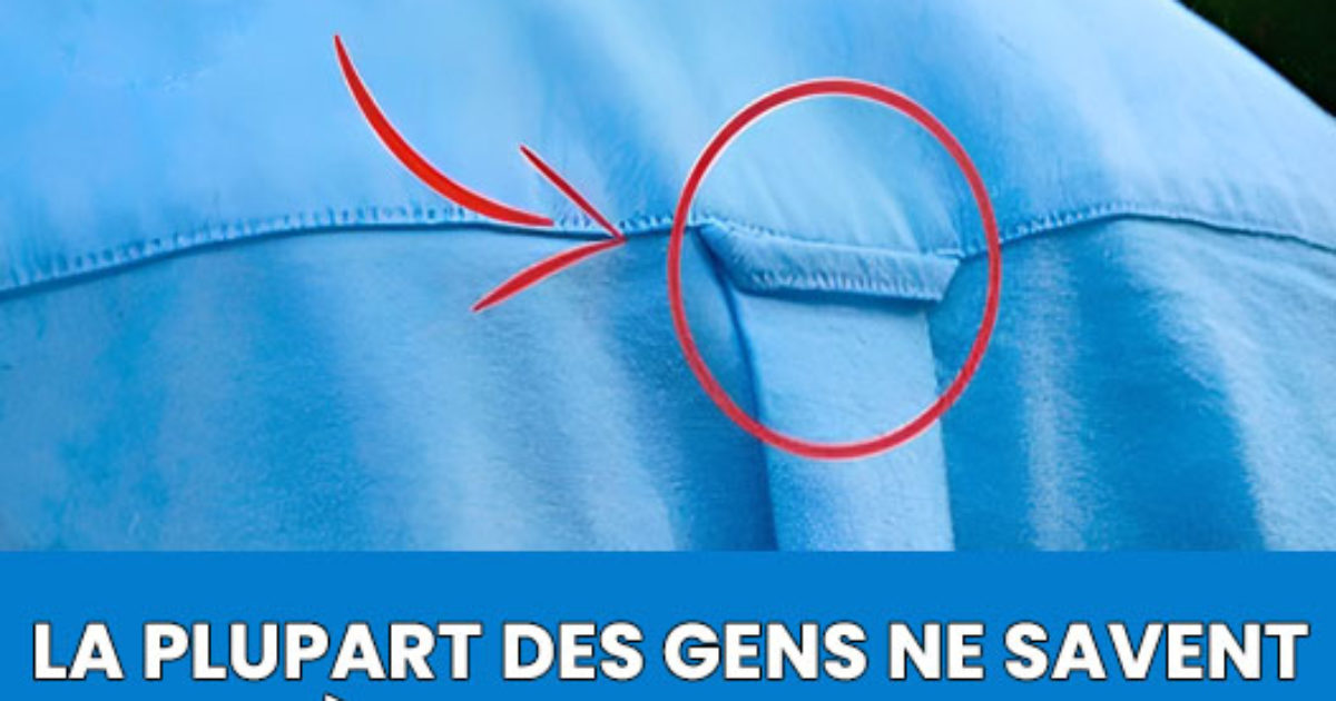 Pourquoi les chemises ont des boucles dans le dos