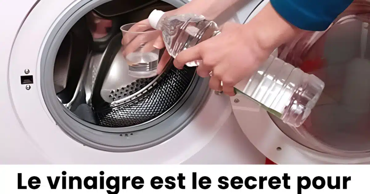Pourquoi les gens ajoutent du vinaigre à leur lessive ?