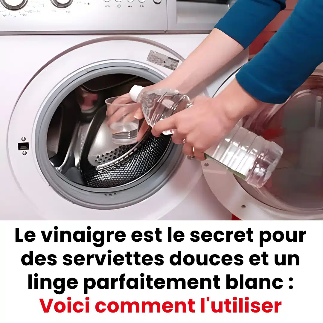 Pourquoi les gens ajoutent du vinaigre à leur lessive ?