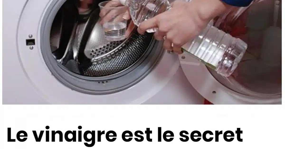 Pourquoi les gens ajoutent du vinaigre dans leur machine à laver ?