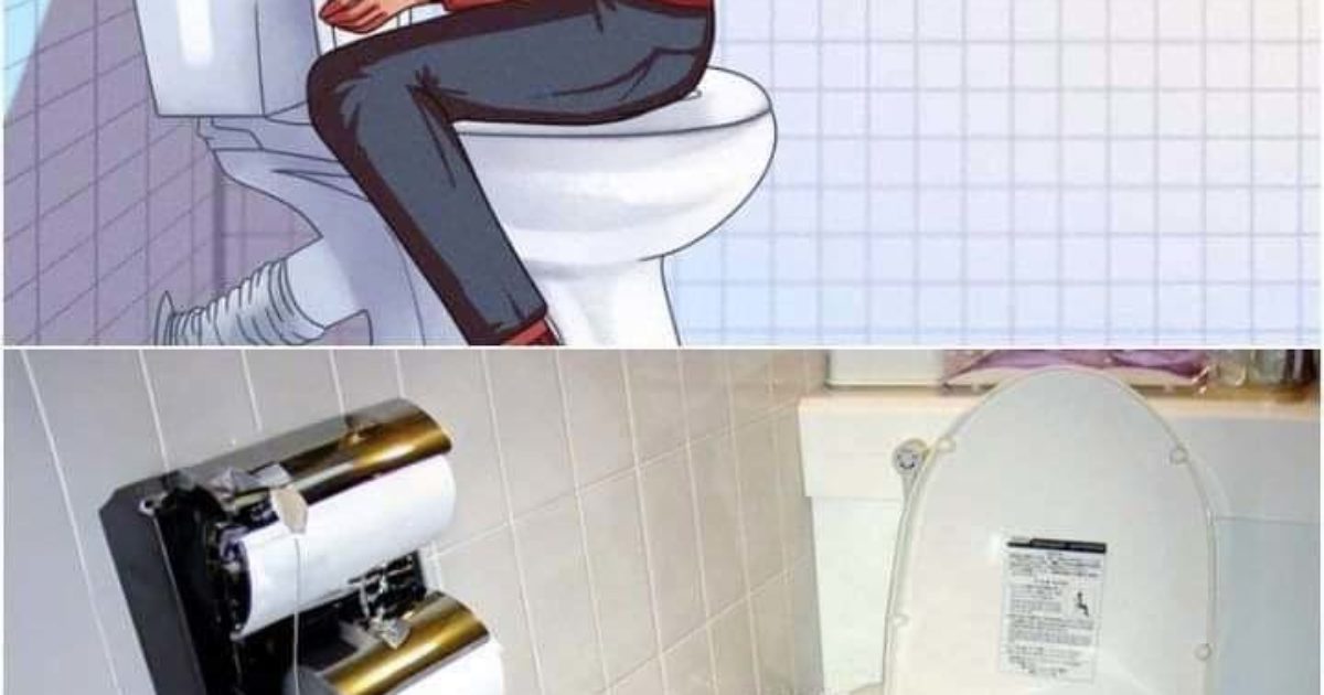 Pourquoi les Japonais s’assoient-ils sur les toilettes face vers l’avant ?