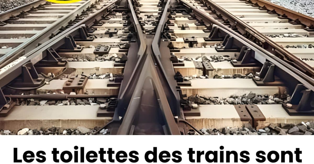 Pourquoi les rails des trains restent toujours propres ?