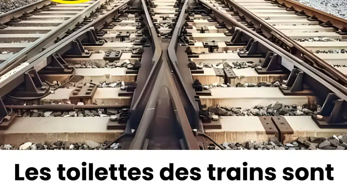 Pourquoi les rails des trains restent toujours propres ?