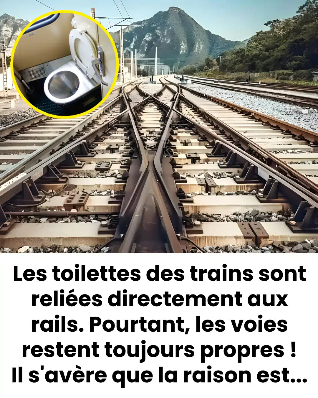 Pourquoi les rails des trains restent toujours propres ?