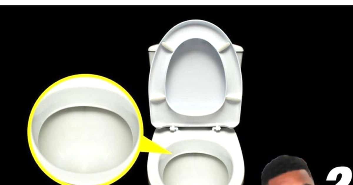 Pourquoi les toilettes sont-elles toujours blanches ?
