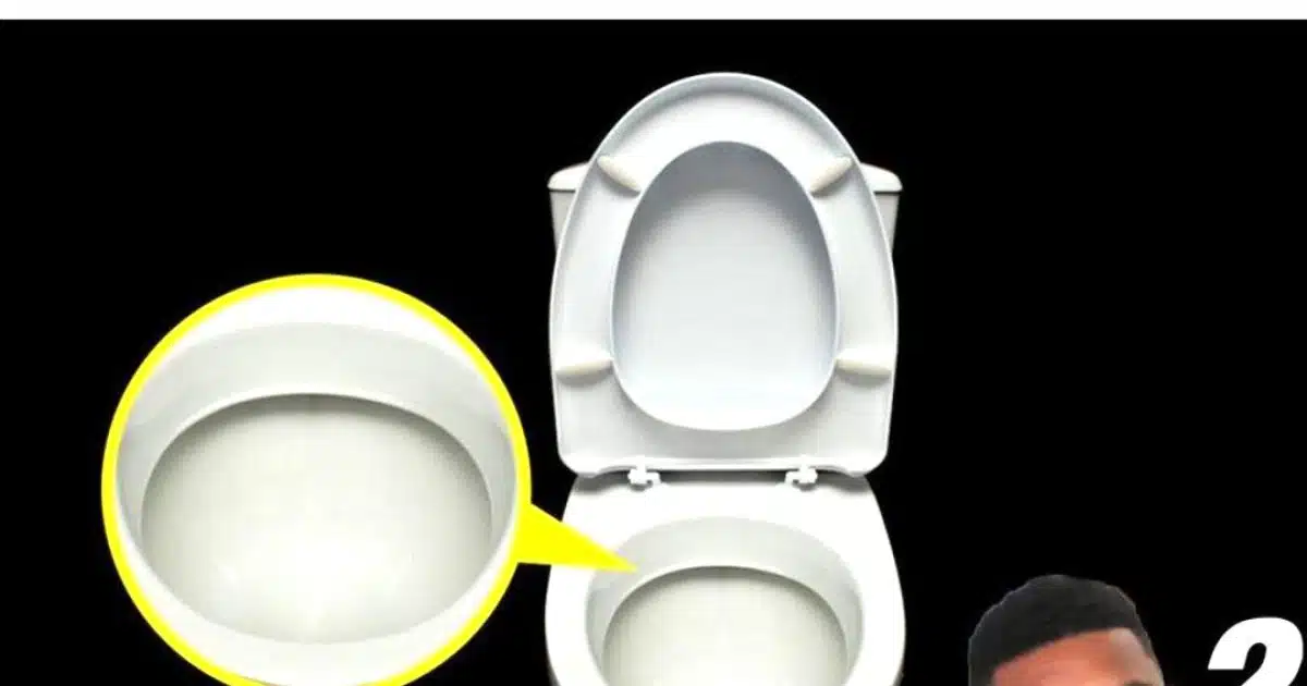 Pourquoi les toilettes sont-elles toujours blanches ?