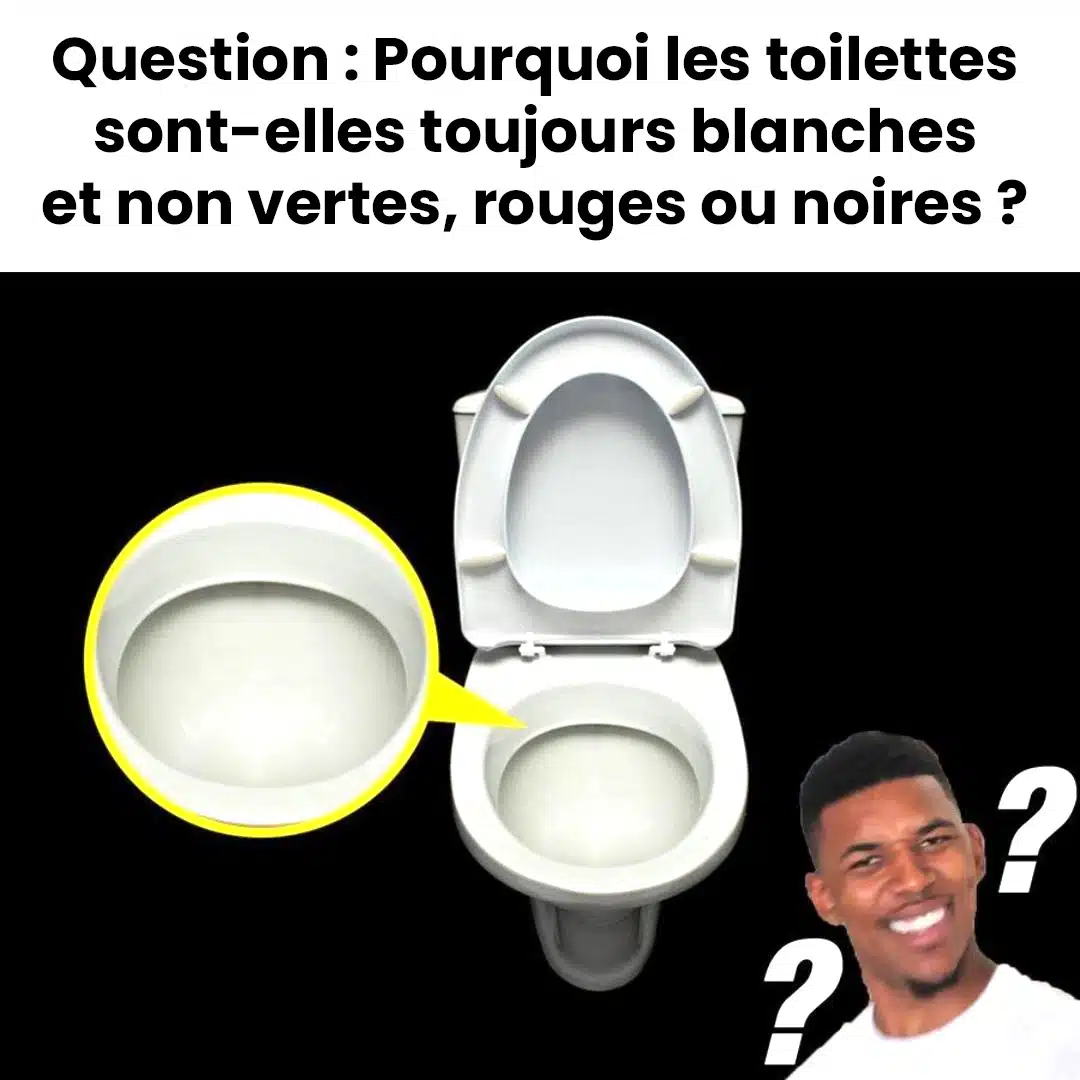 Pourquoi les toilettes sont-elles toujours blanches ?