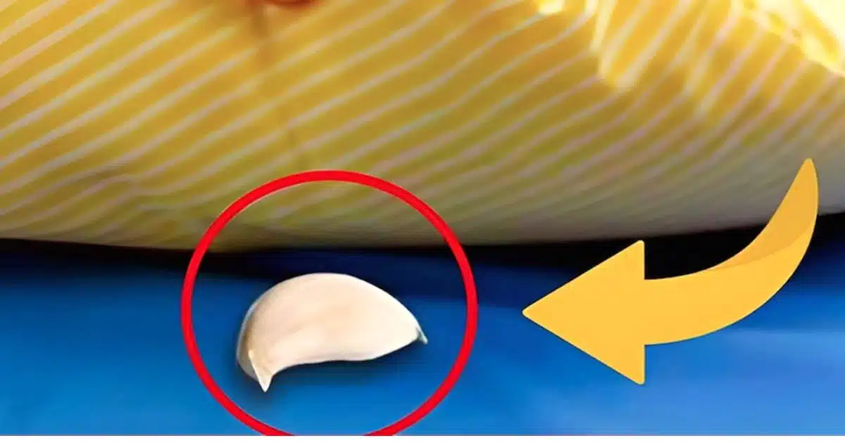 Pourquoi mettre de l'ail sous votre oreiller ?