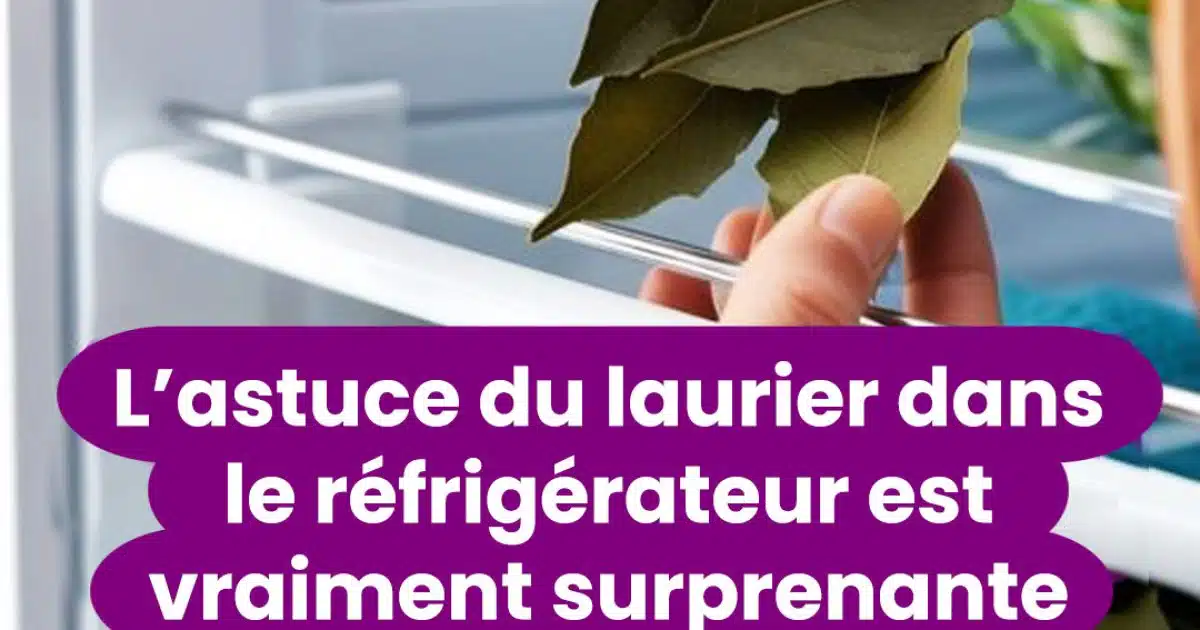 Pourquoi mettre du laurier au frigo ?