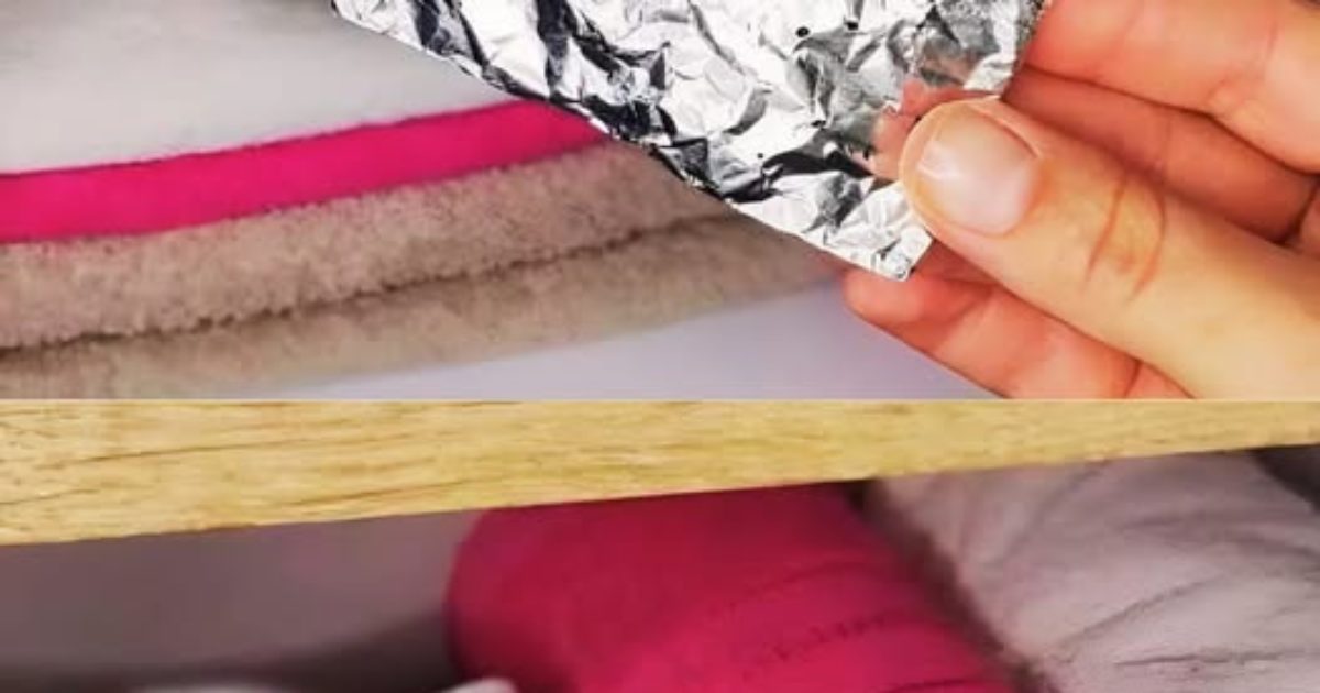 Pourquoi mettre un morceau de papier aluminium dans le placard ?