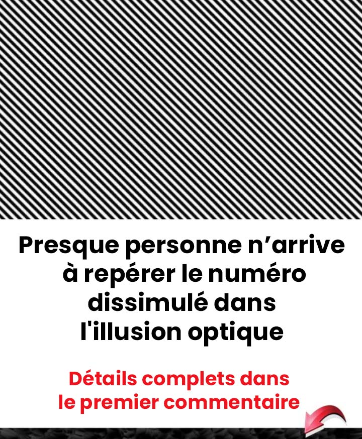 Pouvez-vous découvrir le numéro caché dans cette illusion d’optique ?