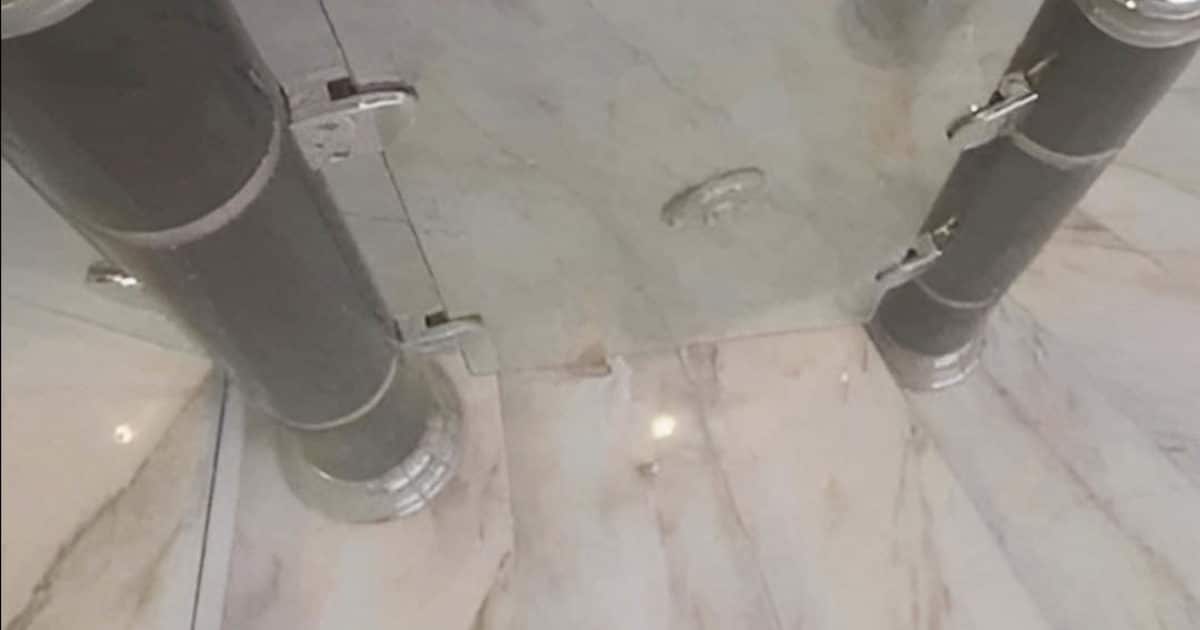 Pouvez-vous retrouver le chat caché dans la photo ?