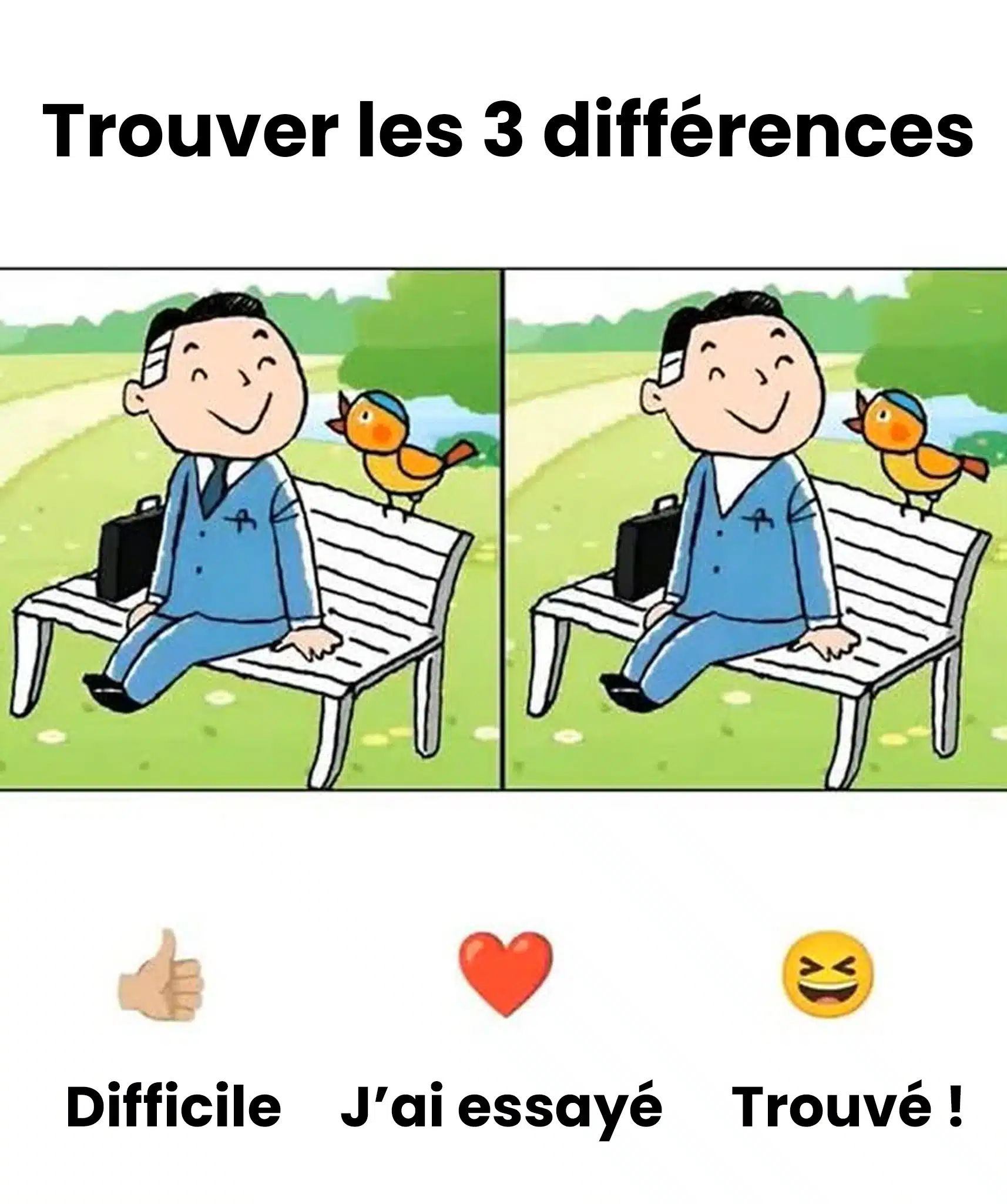 Pouvez-vous trouver les 3 différences dans l’image ?