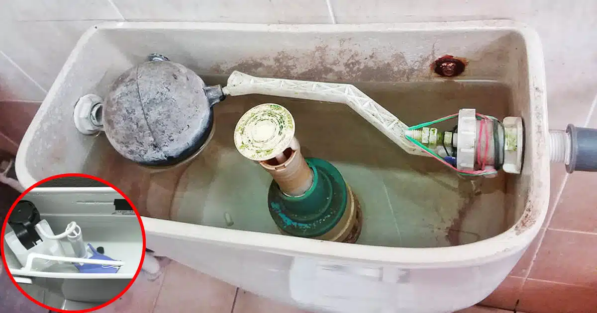 Nettoyage du réservoir WC étape par étape