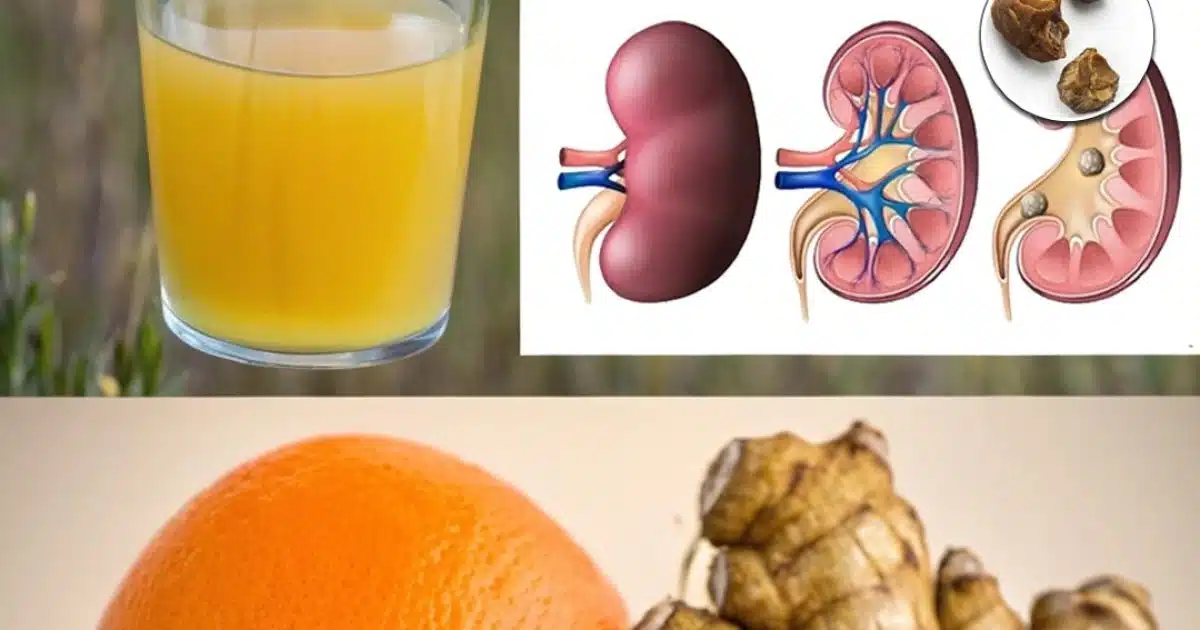 Purifiez naturellement vos reins, votre foie et vos poumons pour retrouver énergie et bien-être