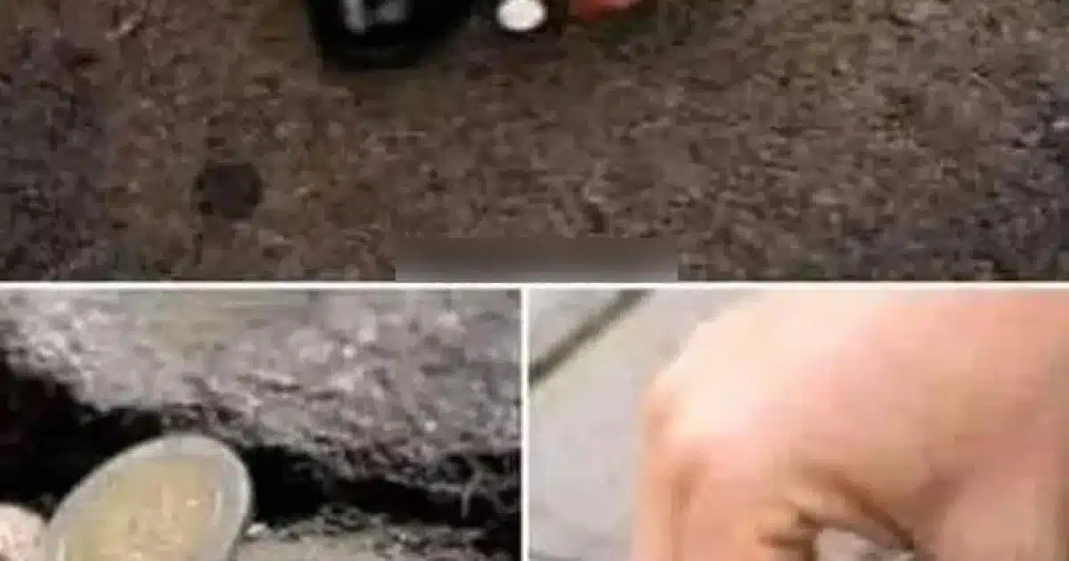 Que signifie trouver une pièce sur le sol ?