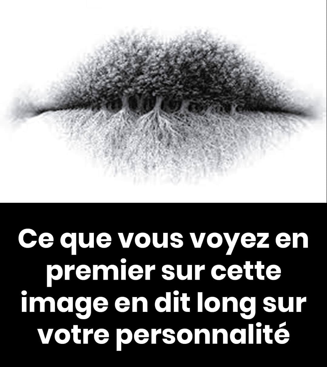 Des punaises de lit à la maison ? Découvrez l’astuce pour les faire disparaître de chez vous