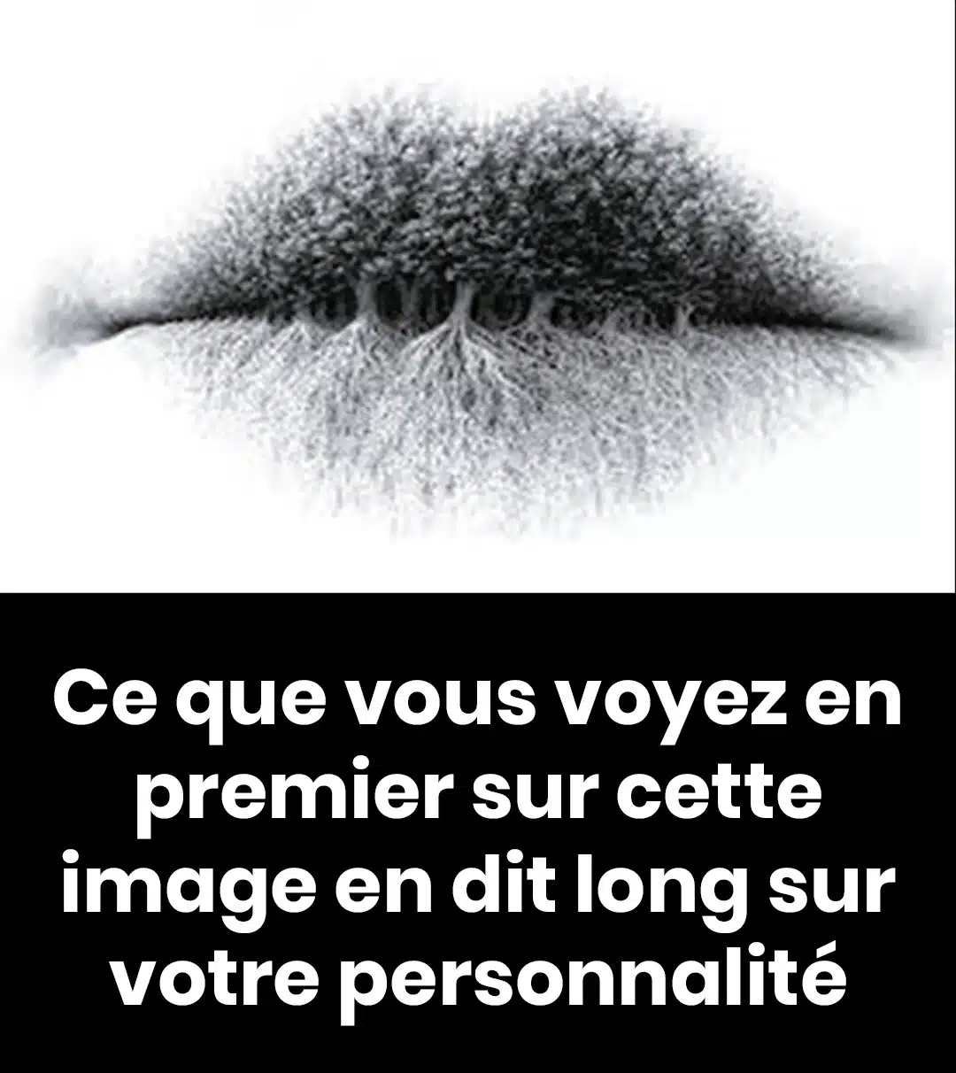 Des punaises de lit à la maison ? Découvrez l’astuce pour les faire disparaître de chez vous