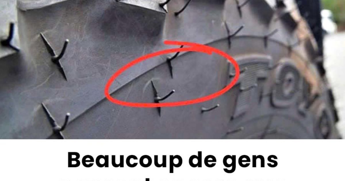 Quelle est la fonction réelle des poils sur les pneus ?