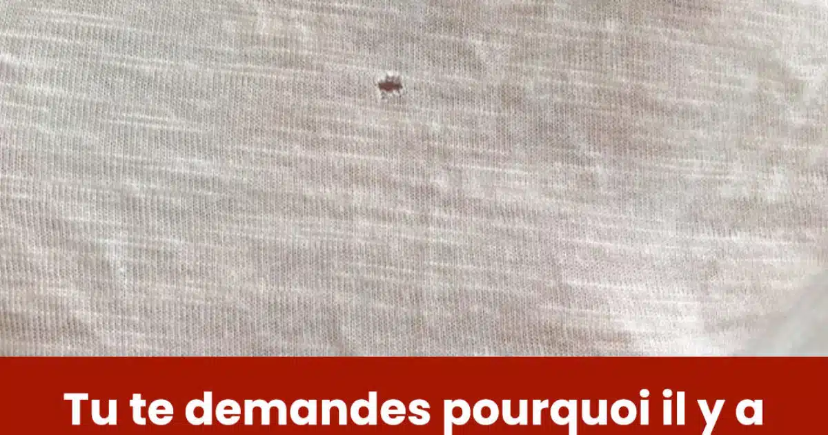 Quelle est l'origine de ces petits trous dans votre t-shirt ?