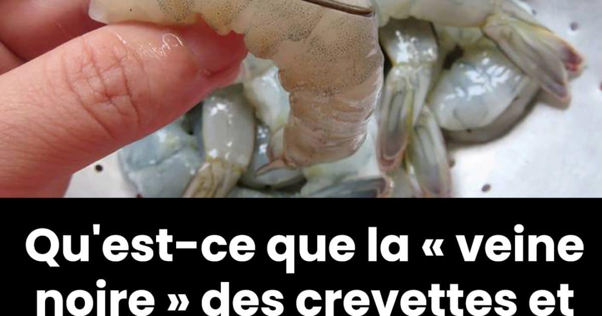 Qu’est-ce que la « veine noire » des crevettes et que se passe-t-il si vous la mangez ?