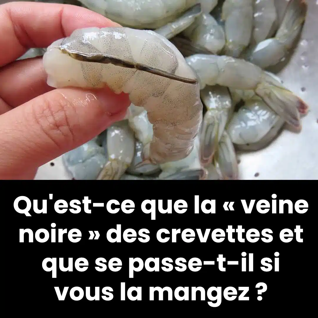Qu’est-ce que la « veine noire » des crevettes et que se passe-t-il si vous la mangez ?