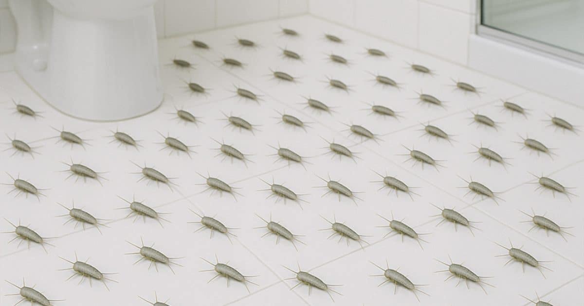 Qu’est-ce que le poisson d’argent et pourquoi est-il important de l’éviter ?