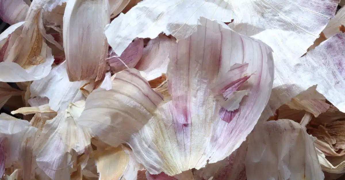 Épluchures d'ail séchées sur une planche en bois