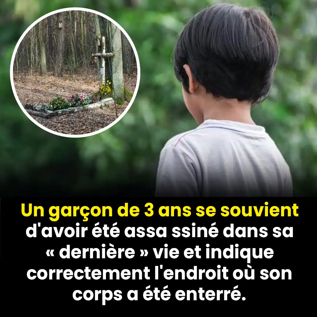Réincarnation ou mémoire cellulaire ? Le troublant témoignage d’un enfant de 3 ans