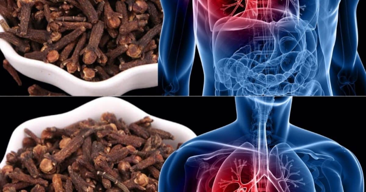 Respirez mieux naturellement : comment les clous de girofle peuvent aider à combattre les infections respiratoires et la bronchite