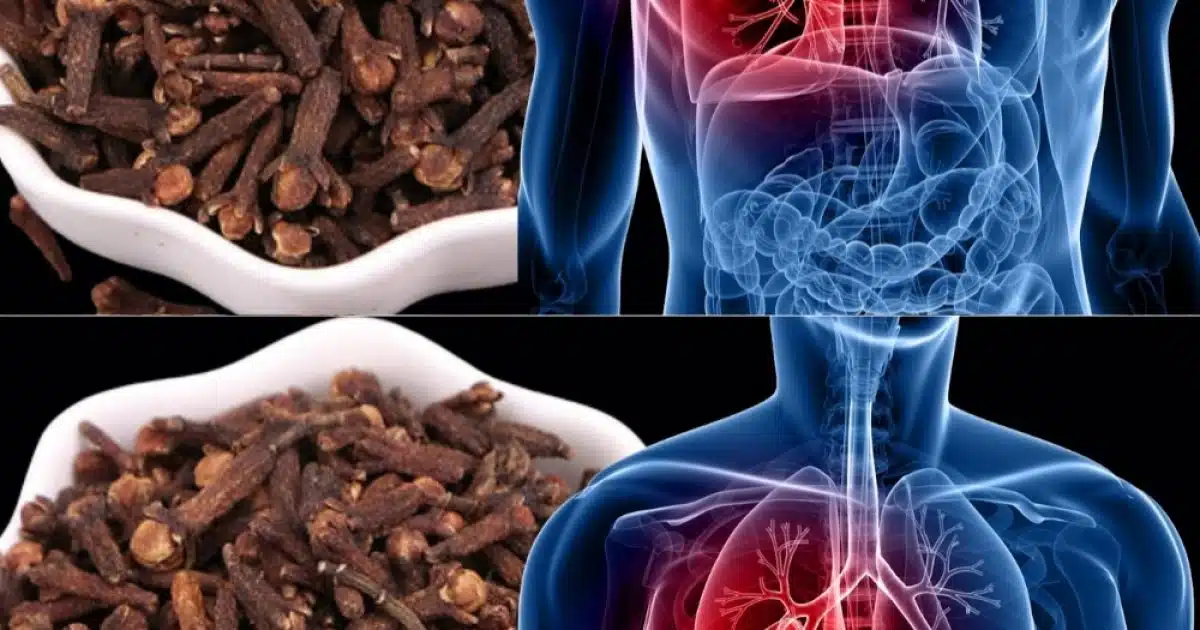 Respirez mieux naturellement : comment les clous de girofle peuvent aider à combattre les infections respiratoires et la bronchite