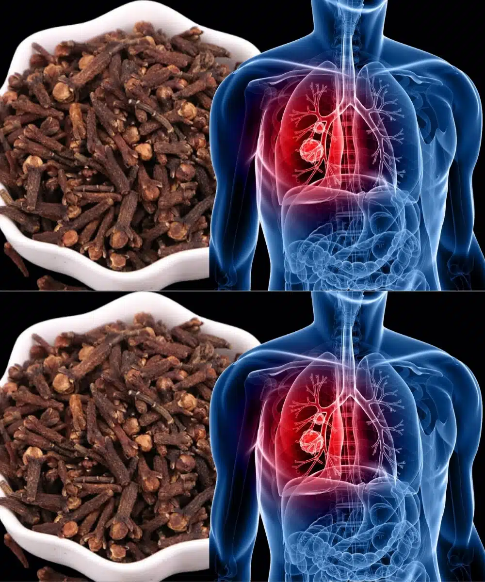 Respirez mieux naturellement : comment les clous de girofle peuvent aider à combattre les infections respiratoires et la bronchite