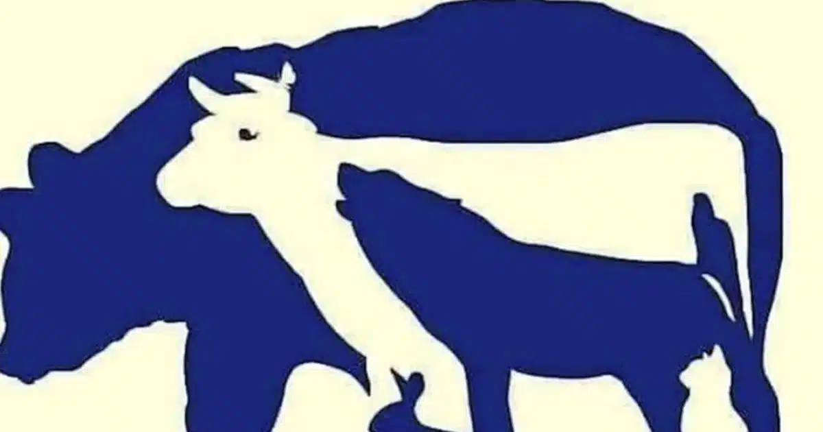 Saurez-vous trouver les 10 animaux sur l’image ?