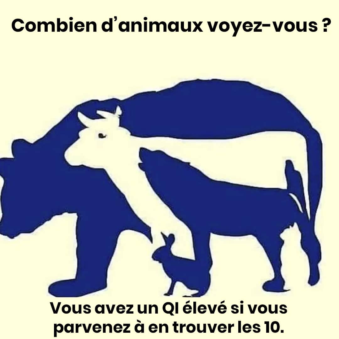 Saurez-vous trouver les 10 animaux sur l’image ?