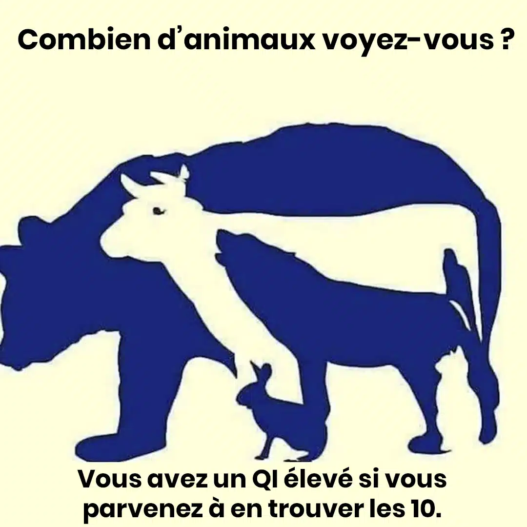 Saurez-vous trouver les 10 animaux sur l’image ?