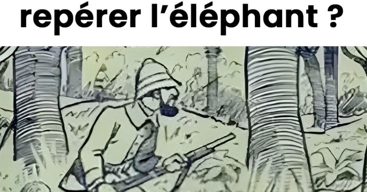 Seulement 1% des gens peuvent repérer l'éléphant caché dans cette image