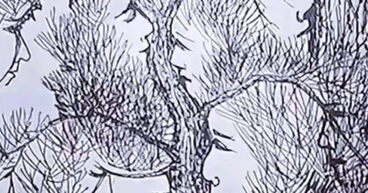 Seules 1 % des gens arrivent à trouver tous les visages en moins de 30 secondes