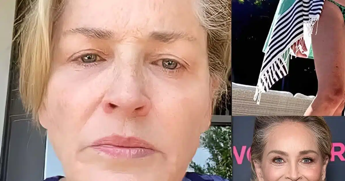 Sharon Stone éblouit à 66 ans et révèle son secret pour rester radieuse