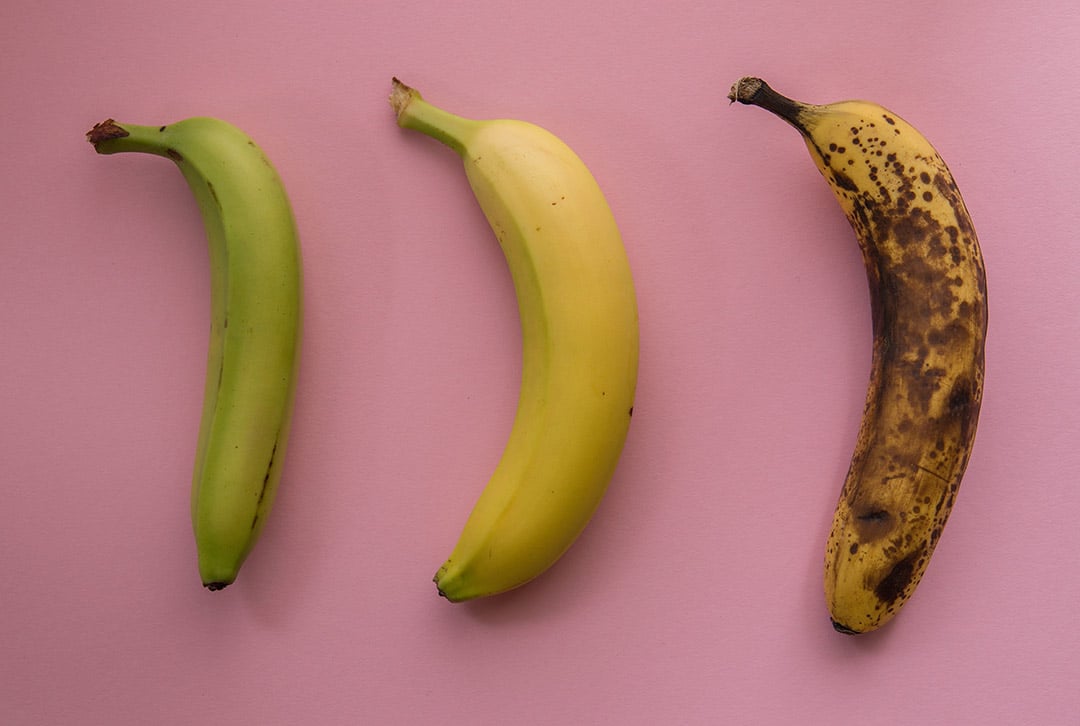 Différents stades de maturité de la banane : verte, jaune et tachetée