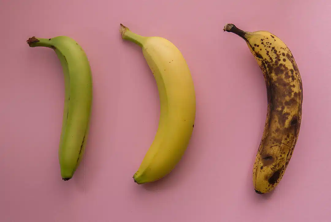 Différents stades de maturité de la banane : verte, jaune et tachetée