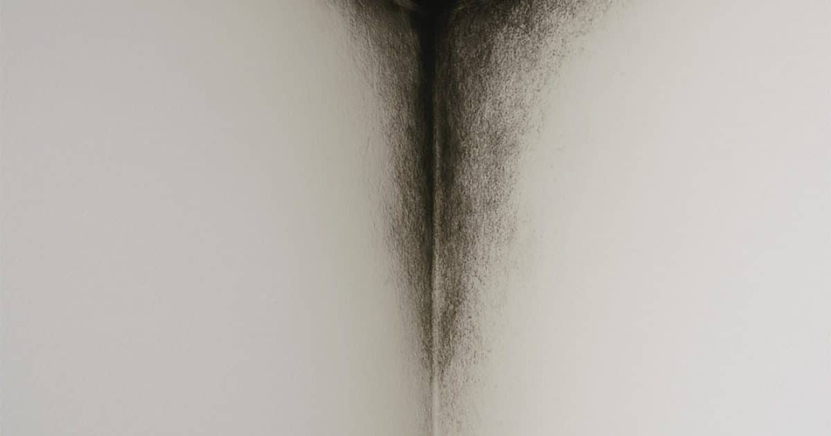 Si vos murs noircissent dans un coin, ce n’est pas un hasard : découvrez ce que cela signifie vraiment (et comment y remédier)