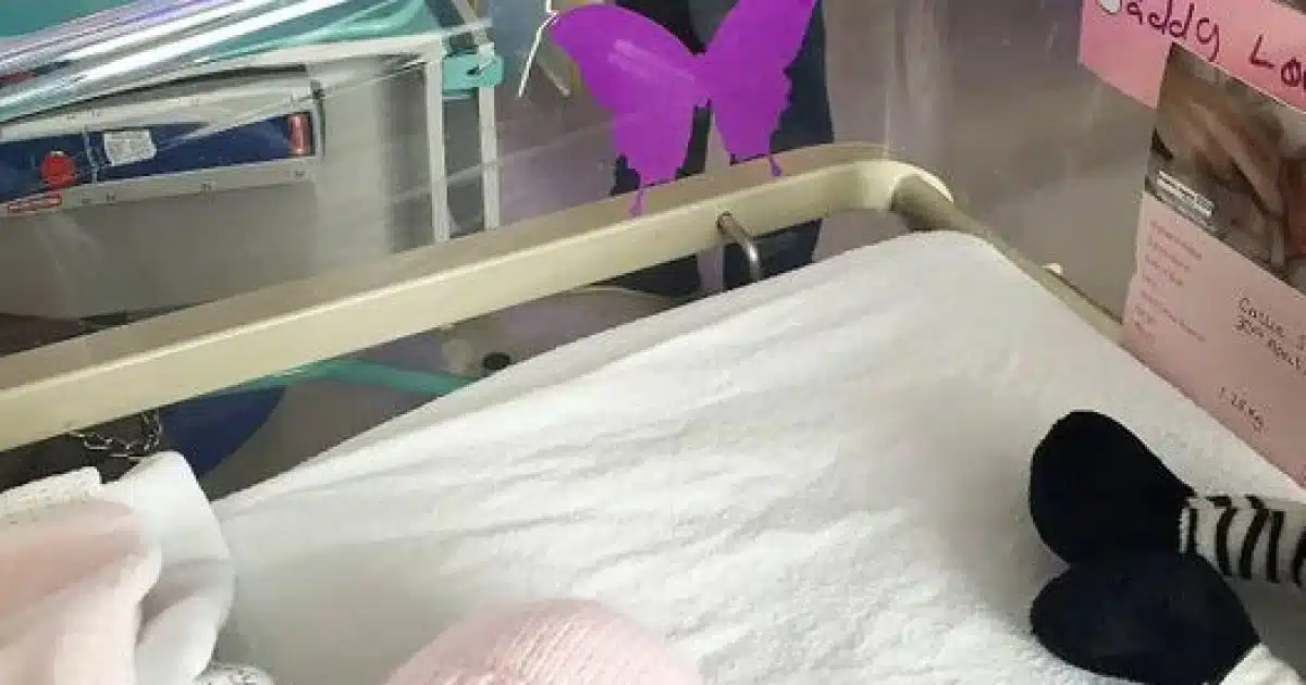Si vous apercevez un autocollant de papillon violet près d’un nouveau-né, voici ce que vous devez savoir
