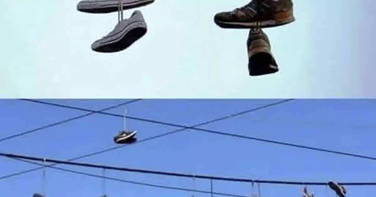 Si vous apercevez une basket suspendue à un fil dans la rue, voici ce qu’elle symbolise réellement