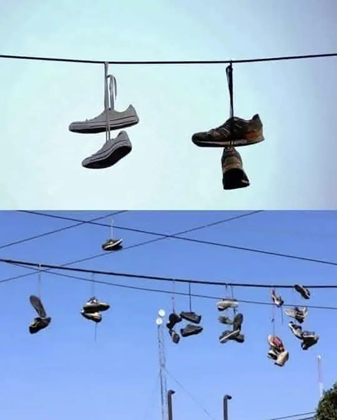 Si vous apercevez une basket suspendue à un fil dans la rue, voici ce qu’elle symbolise réellement