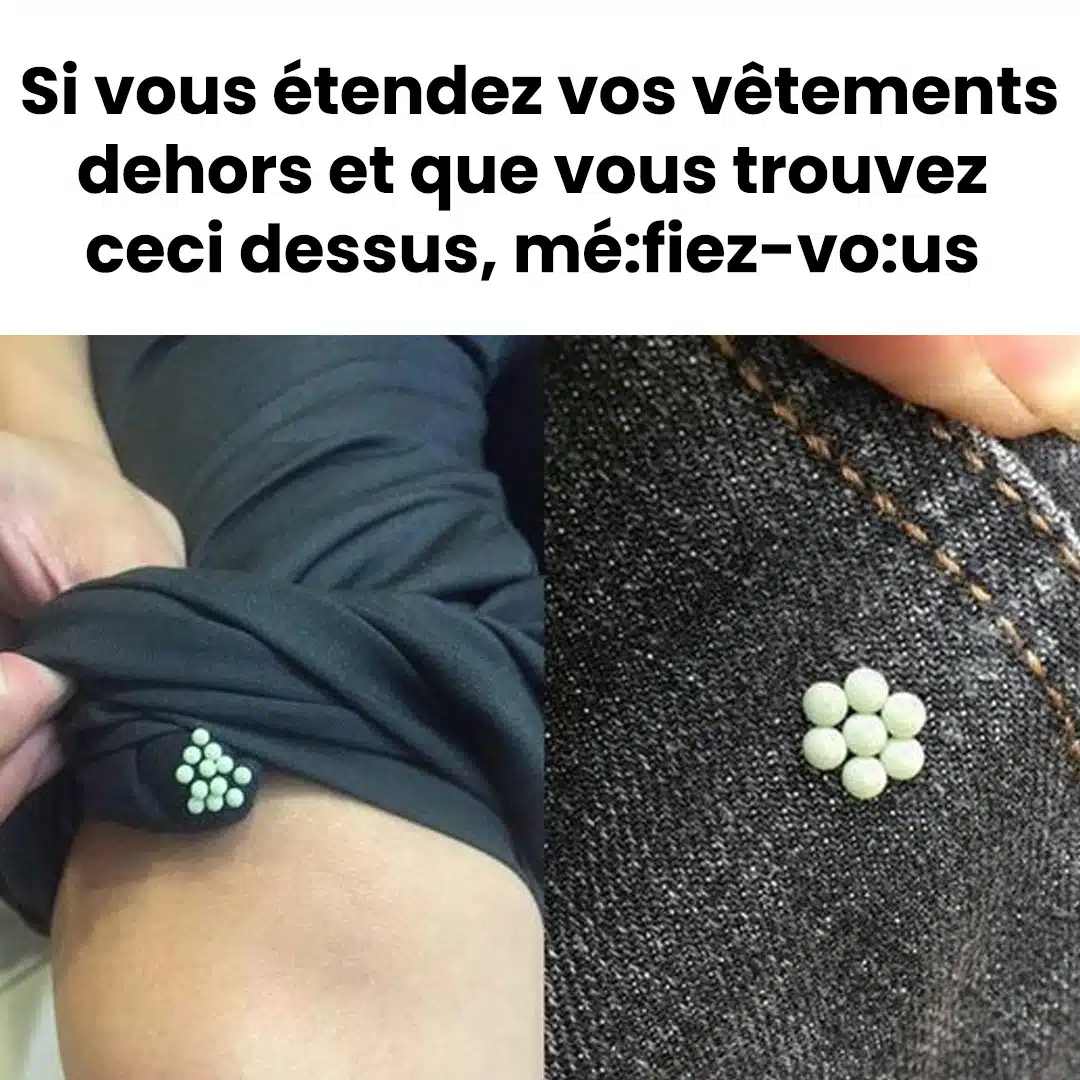 Si vous étendez vos vêtements dehors et que vous trouvez ceci dessus, voici ce qu’il faut savoir